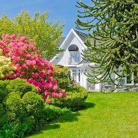 a beautiful lawn and garden