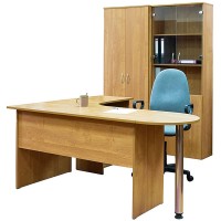 office furniture (a desk, chair, bookcase, and cabinet)