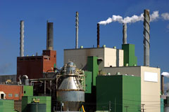 paper manufacturing plant
