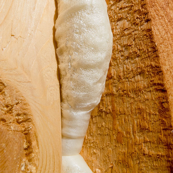 polyurethane foam insulation (large image)