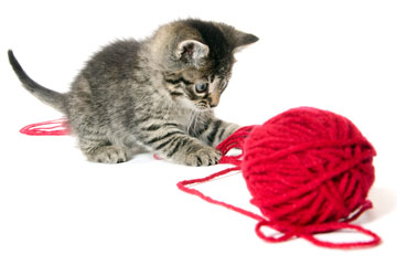 a kitten playing with a ball of red yarn