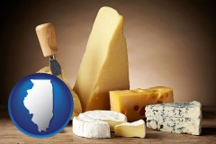 illinois map icon and assorted cheeses