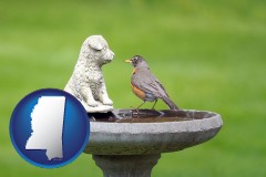 mississippi map icon and a concrete birdbath and robin