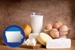 iowa map icon and dairy products
