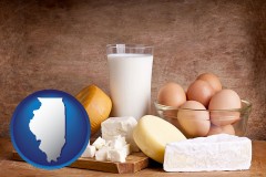 illinois map icon and dairy products