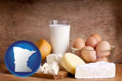 minnesota map icon and dairy products