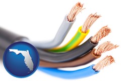 florida map icon and copper electrical wires in an insulated cable