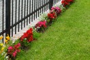 a front yard garden fence