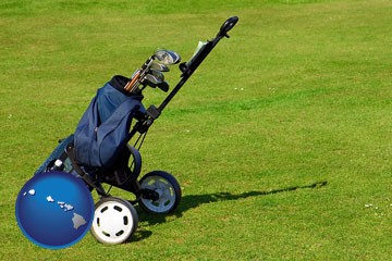 a golf bag on a green fairway - with Hawaii icon