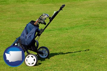 a golf bag on a green fairway - with Washington icon