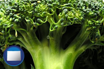 fresh broccoli - with Colorado icon