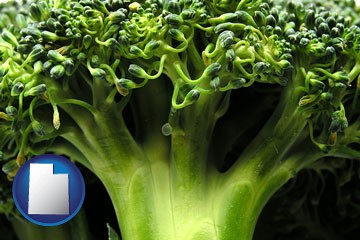 fresh broccoli - with Utah icon