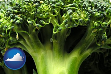 fresh broccoli - with Virginia icon