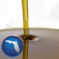 florida map icon and oil