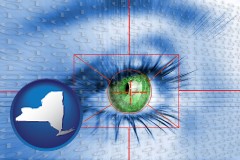 new-york map icon and an iris-scanning security system