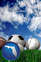 florida map icon and a football, a golf ball, a soccer ball, a tennis ball, and a volleyball