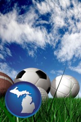 michigan map icon and a football, a golf ball, a soccer ball, a tennis ball, and a volleyball