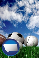montana map icon and a football, a golf ball, a soccer ball, a tennis ball, and a volleyball