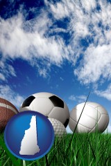 new-hampshire map icon and a football, a golf ball, a soccer ball, a tennis ball, and a volleyball