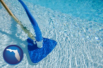 a swimming pool vacuum cleaner - with Florida icon